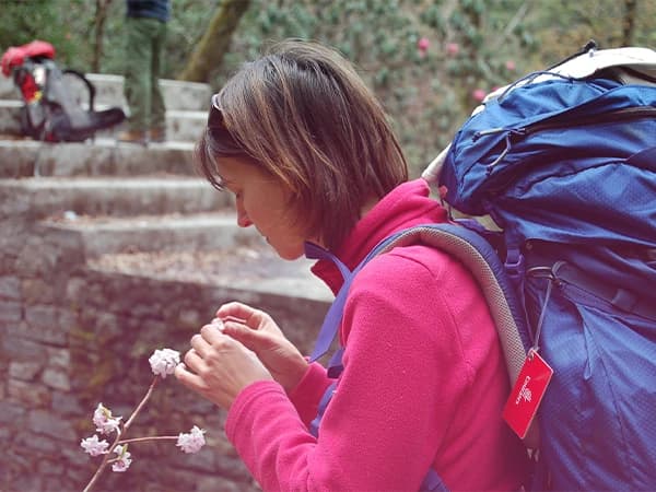 Environmental Considerations for Responsible Travelers