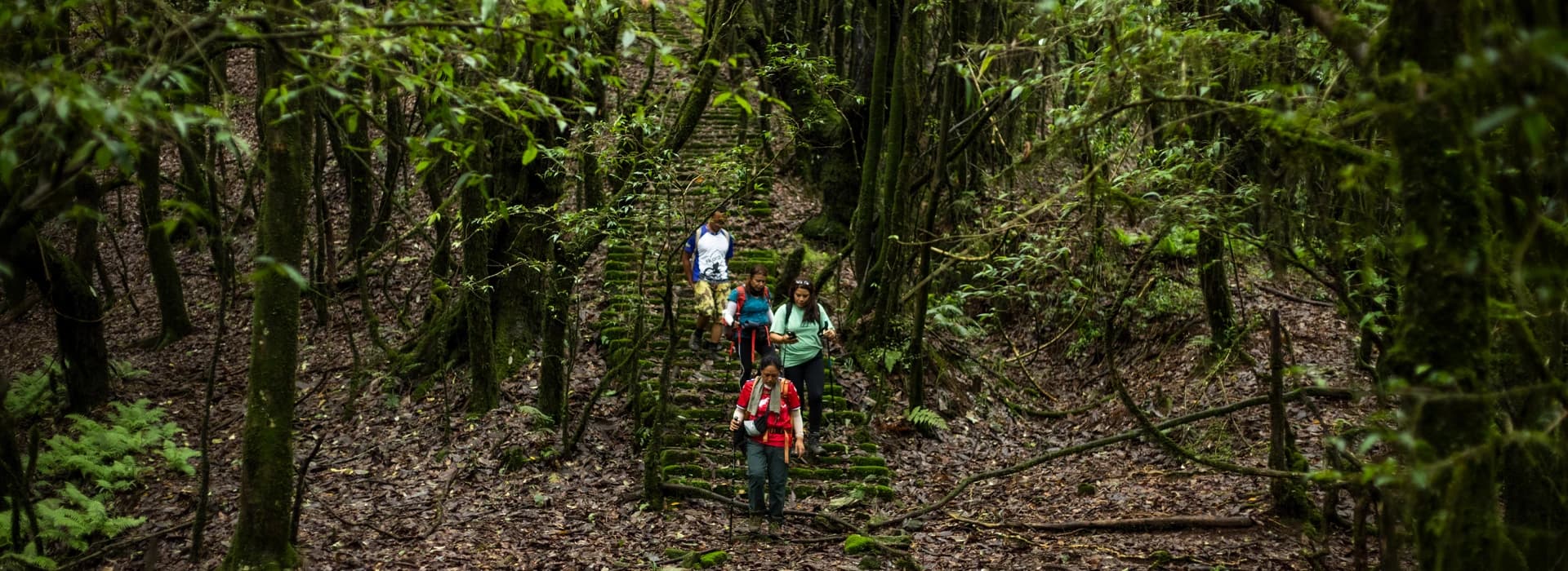 chalenging_hike_sherpa_eco_adventure