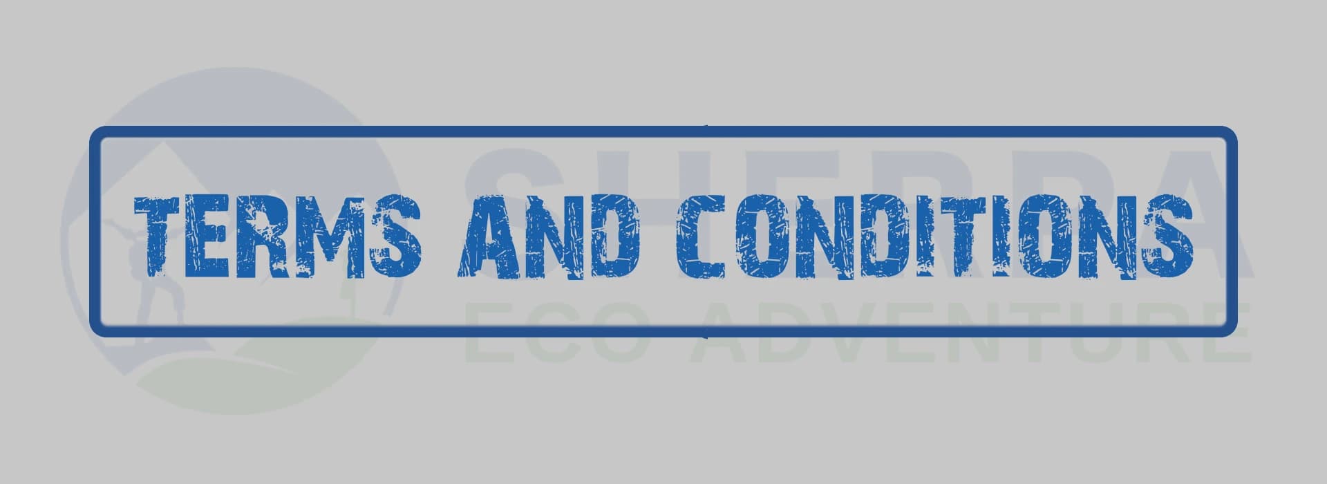 Terms-and-conditions