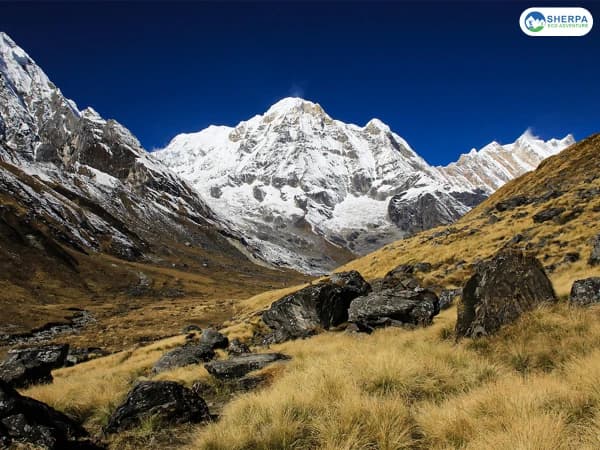 Anapuran Base Camp Trek