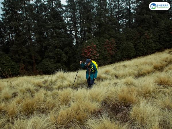 Annapurna Base Camp Trek Guide Poon Hill