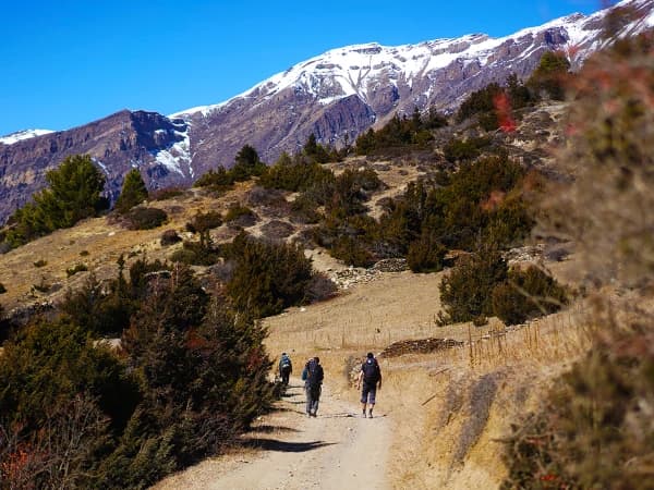 Annapurna Circuit Trek Forest Trail