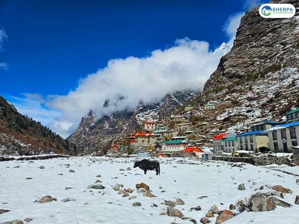 Beding Village Tsho Rolpa Trek