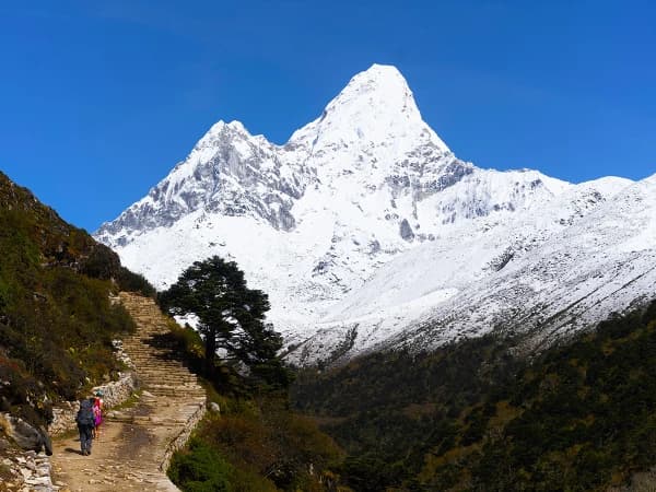 Everest Base Camp Trek Forest Trail 1