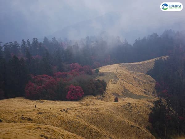 Ghorepani Poon Hill Hiking Path