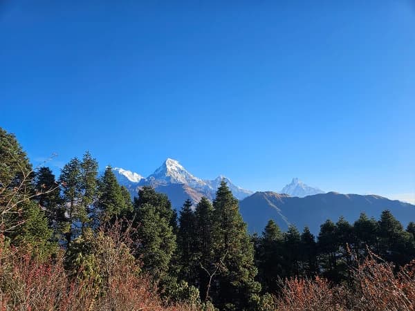 Ghorepani Poon Hill Jungle Trail