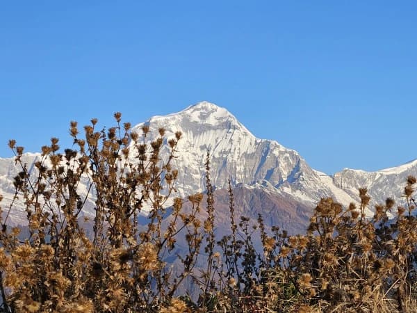 Ghorepani Poon Hill Snow Capped Peaks 1