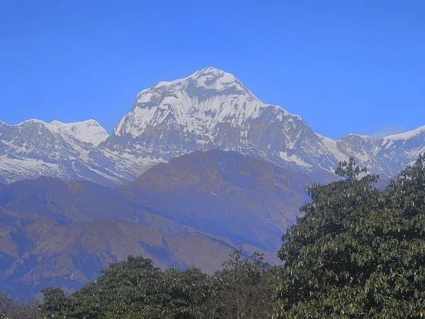 Ghorepani Poon Hill Trek Nature