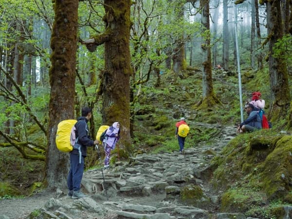 Gosaikunda Lake Trek Forest Trail