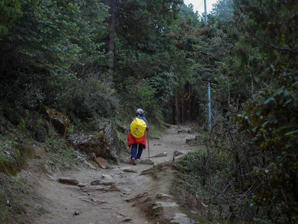 Gosaikunda Lake Trek Woodland Path
