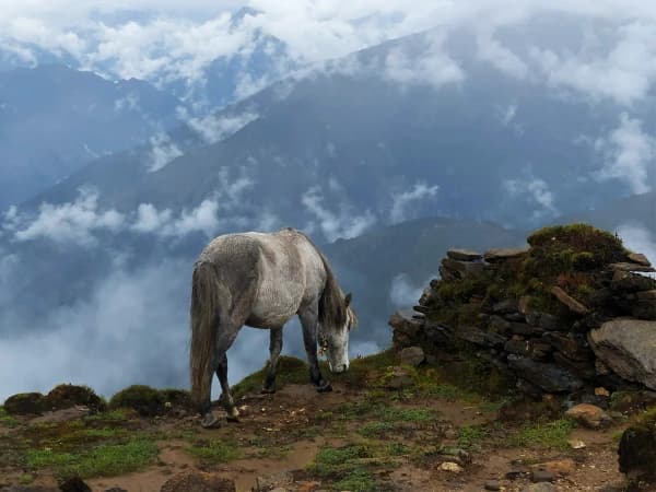 Gosaikunda Trek Nepal View
