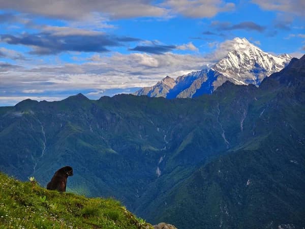Kori Trek Fishtail Mountain
