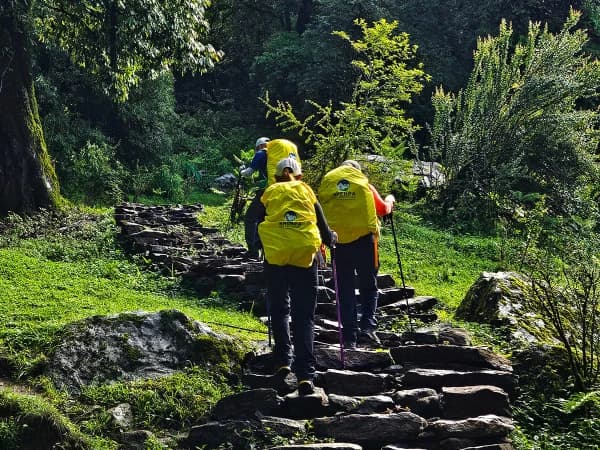 Kori Trek Forest Trail