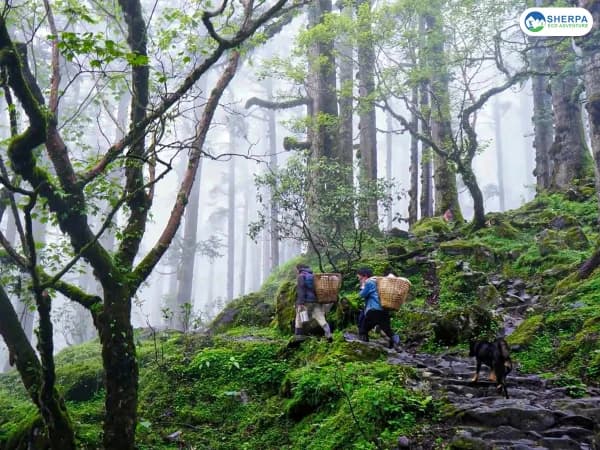 Langtang Gosaikunda Trek Adventure 1