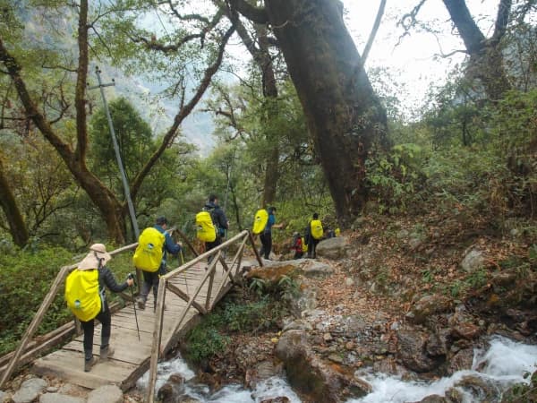 Langtang Valley Trek Forest Trail 1