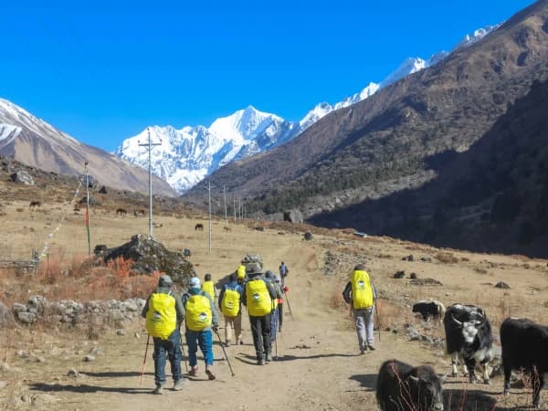 Langtang Valley Trek Scenic Trail