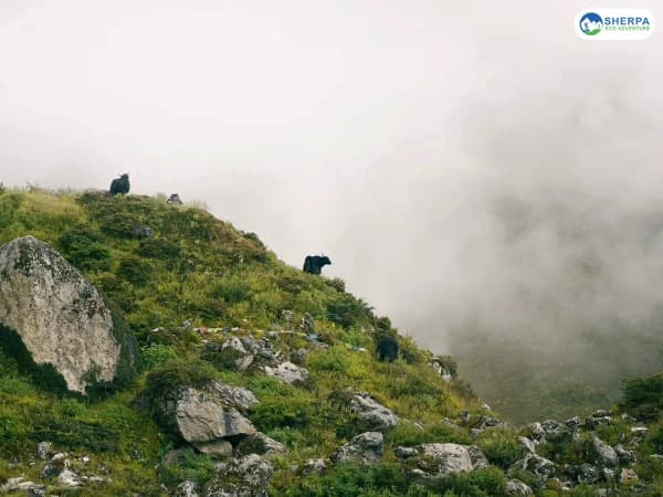 Langtang Valley Trekking Route