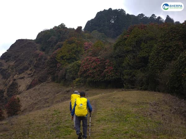 Mohare Danda Eco Trek Route