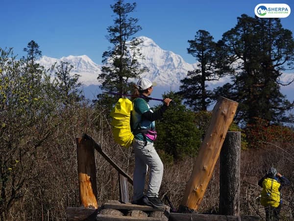 Mohare Danda Offbeat Trekking Trail