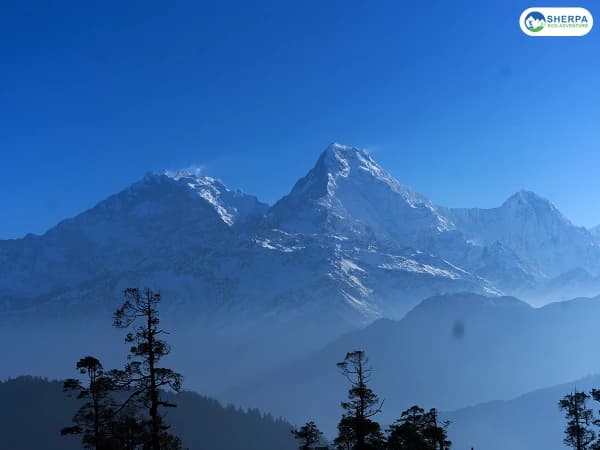 Poon Hill Trek Panorama Annapurna Dhaulagiri