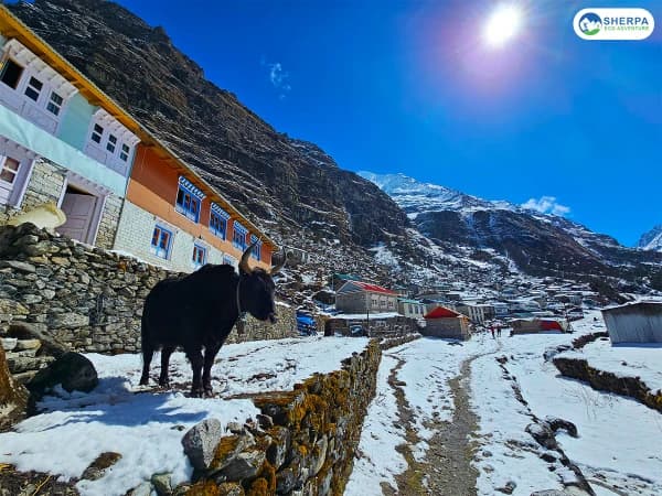 Remote Trek Tsho Rolpa