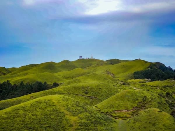 Sailung Overnight Hike Pine Forest