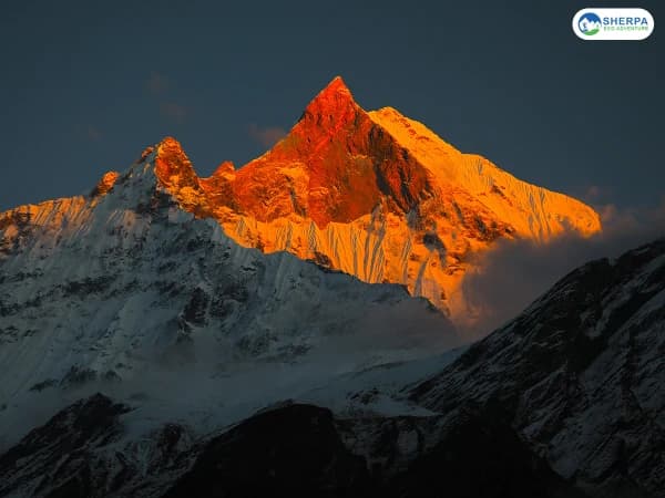 Sea Annapurna Base Camp Trek Golden Hour View