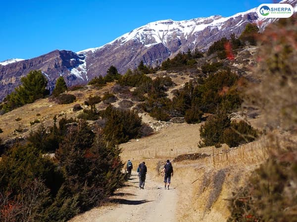 Sea Annapurna Circuit Trek Forest Trail