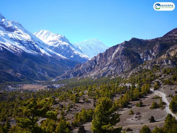 Sea Annapurna Circuit Trek Panorama View