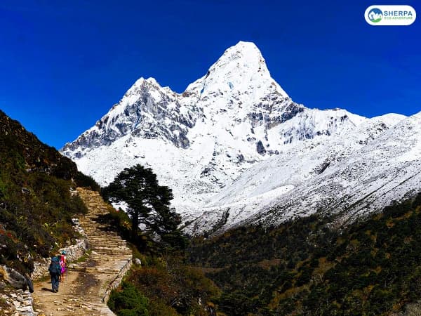 Sea Everest Base Camp Trek Forest Trail