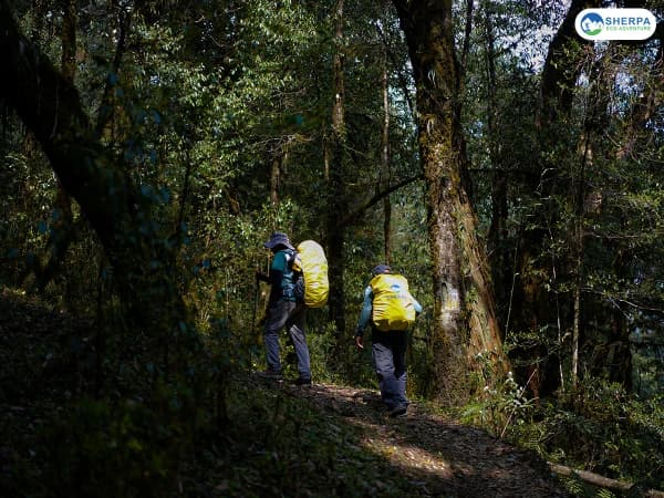 Sea Ghorepani Poon Hill Autumn Scenic Trail
