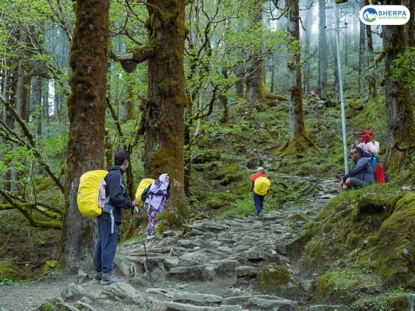 Sea Gosaikunda Lake Trek Forest Trail 1