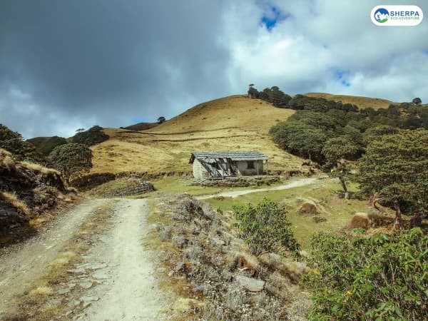Sea Pikey Peak Trek Forest Trail