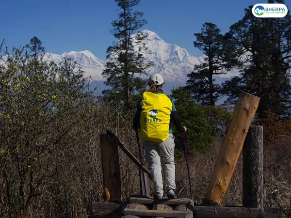 Sea Poon Hill Guided Trek