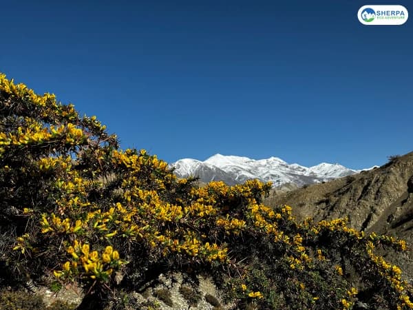 Upper Mustang Himalayan View