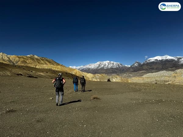 Upper Mustang Trail