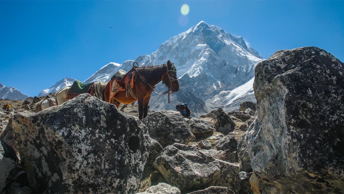 trek-to-phiriche-