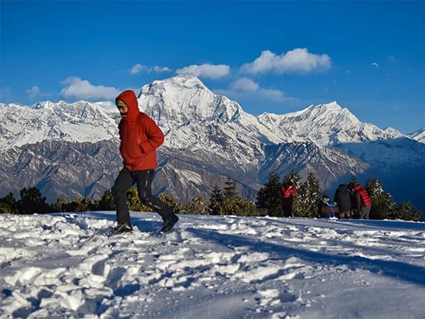 Ghorepani Poon Hill Trek