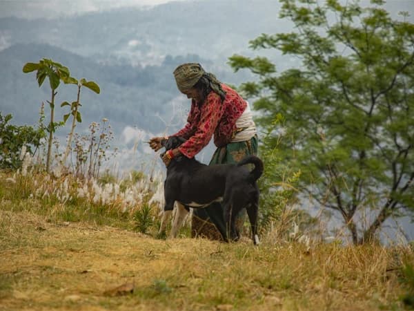 a-woman-trying-to-getoof-her-dog-going-after-hiekers